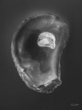 Oyster II